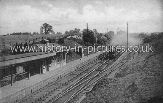 GER Station, Harlow, Essex. c.1920's